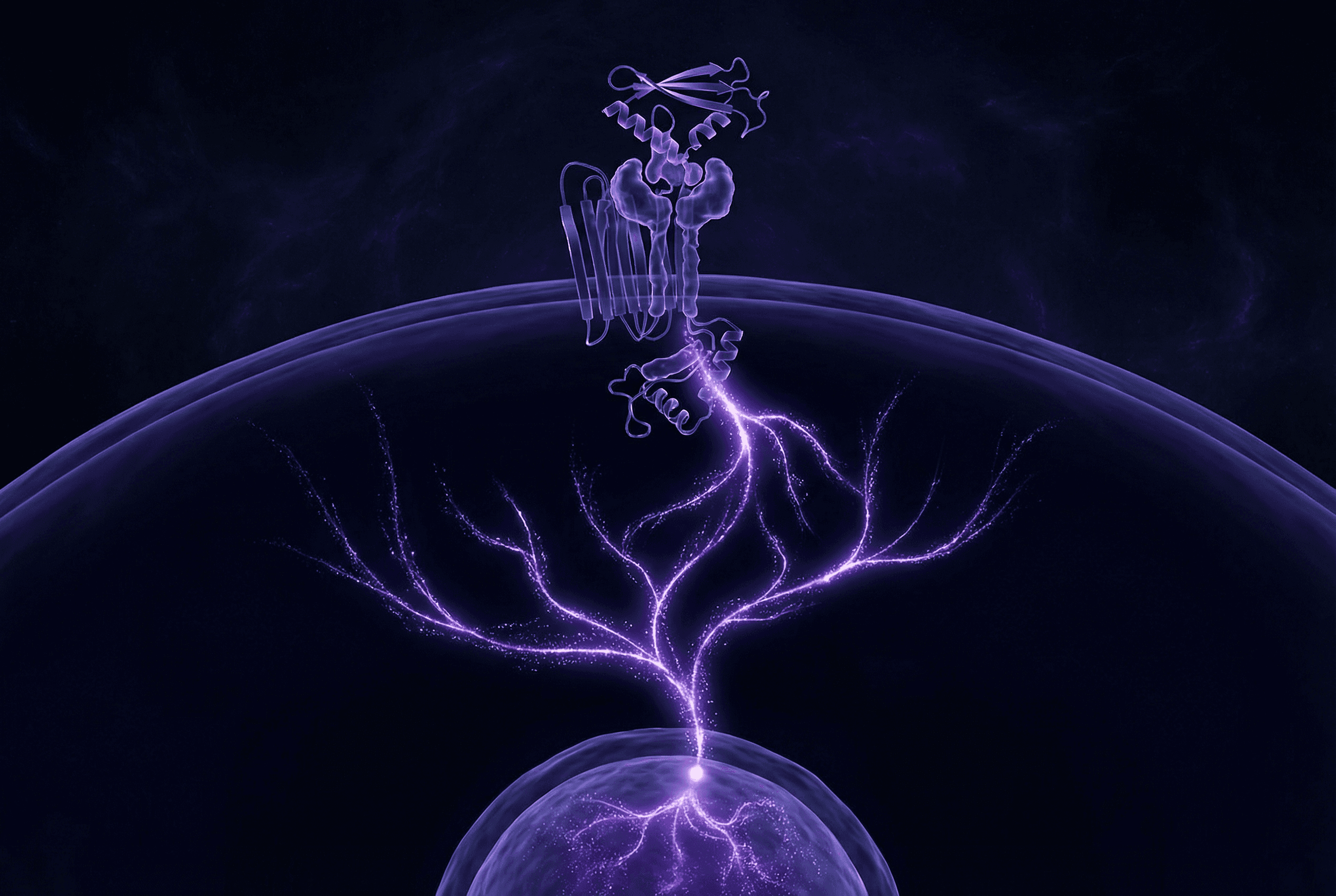 Growth Factor Signal Transduction