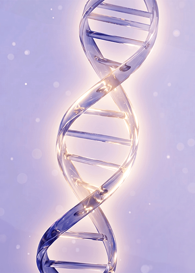10GF renewal visual